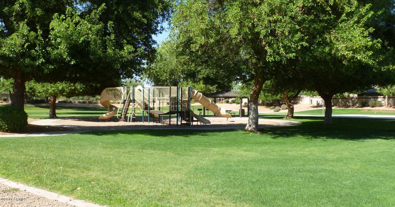2775 East Harwell Road Gilbert, AZ 85234 - Photo 22 of 24 Community Park