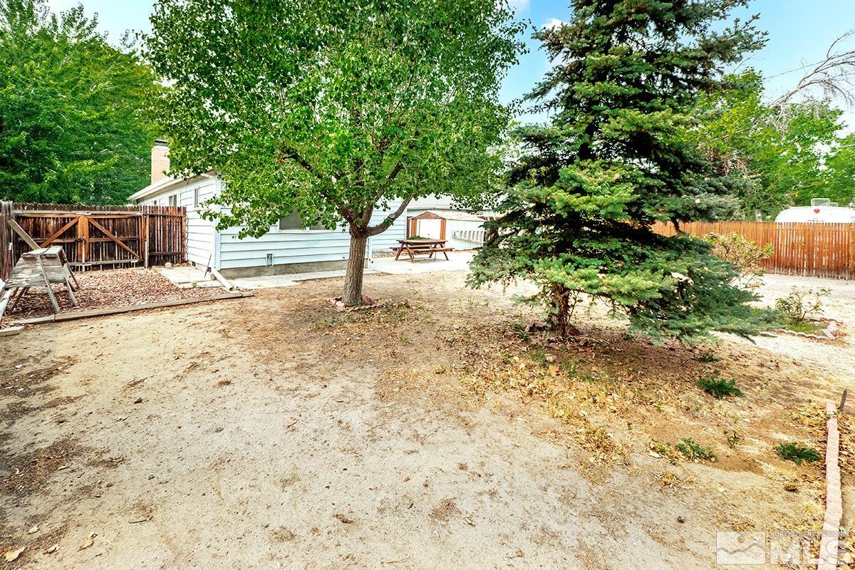 1410 Kirman Avenue Reno, NV 89502 - Photo 17 of 17 a view of a yard with plants and trees