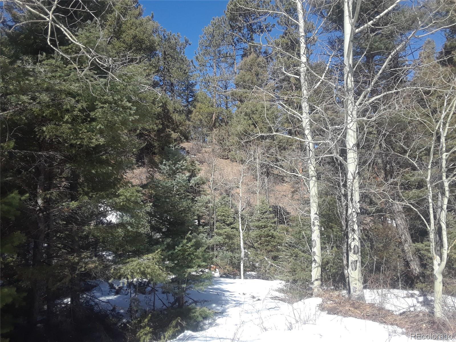 0 Batton Road San Luis, CO 81152 - Photo 3 of 10 Gallery Image 3