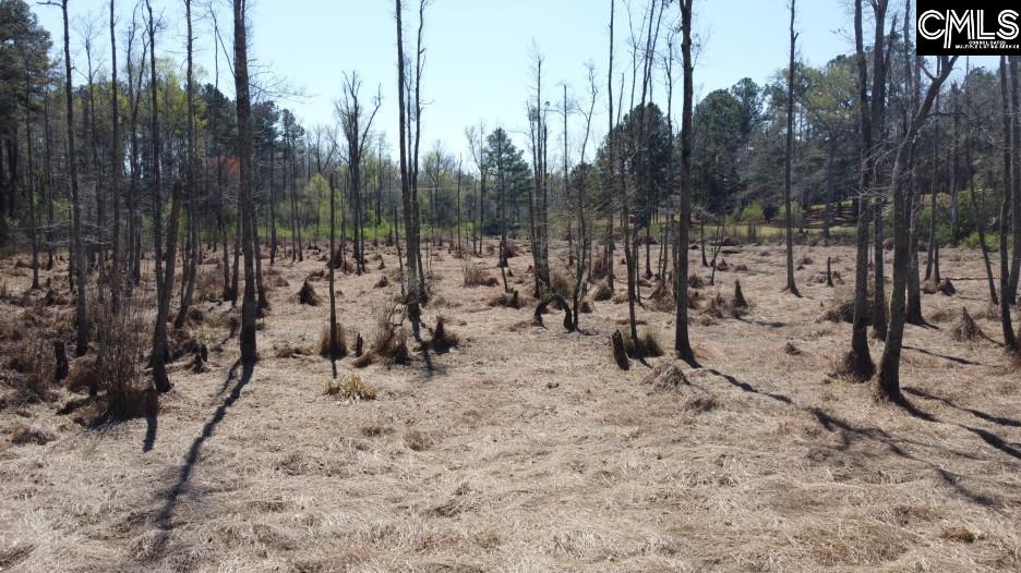 1672 Dixired Road Leesville, SC 29070 - Photo 30 of 67