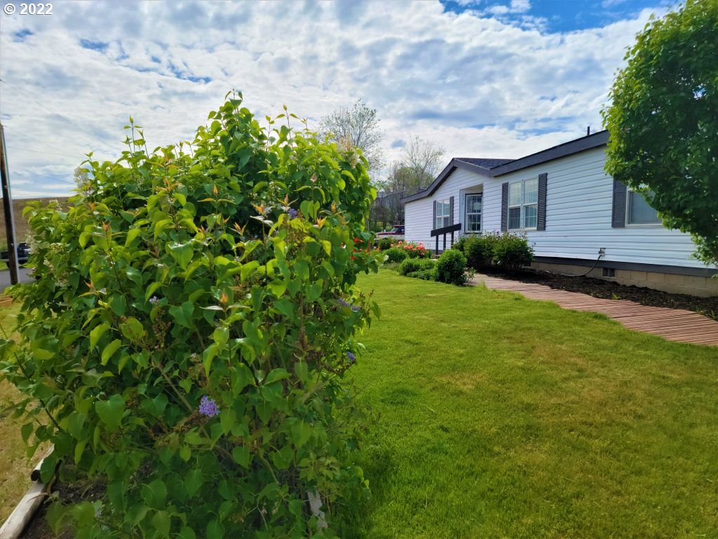 402 Garfield Moro, OR 97039 - Photo 3 of 30 Gallery Image 3