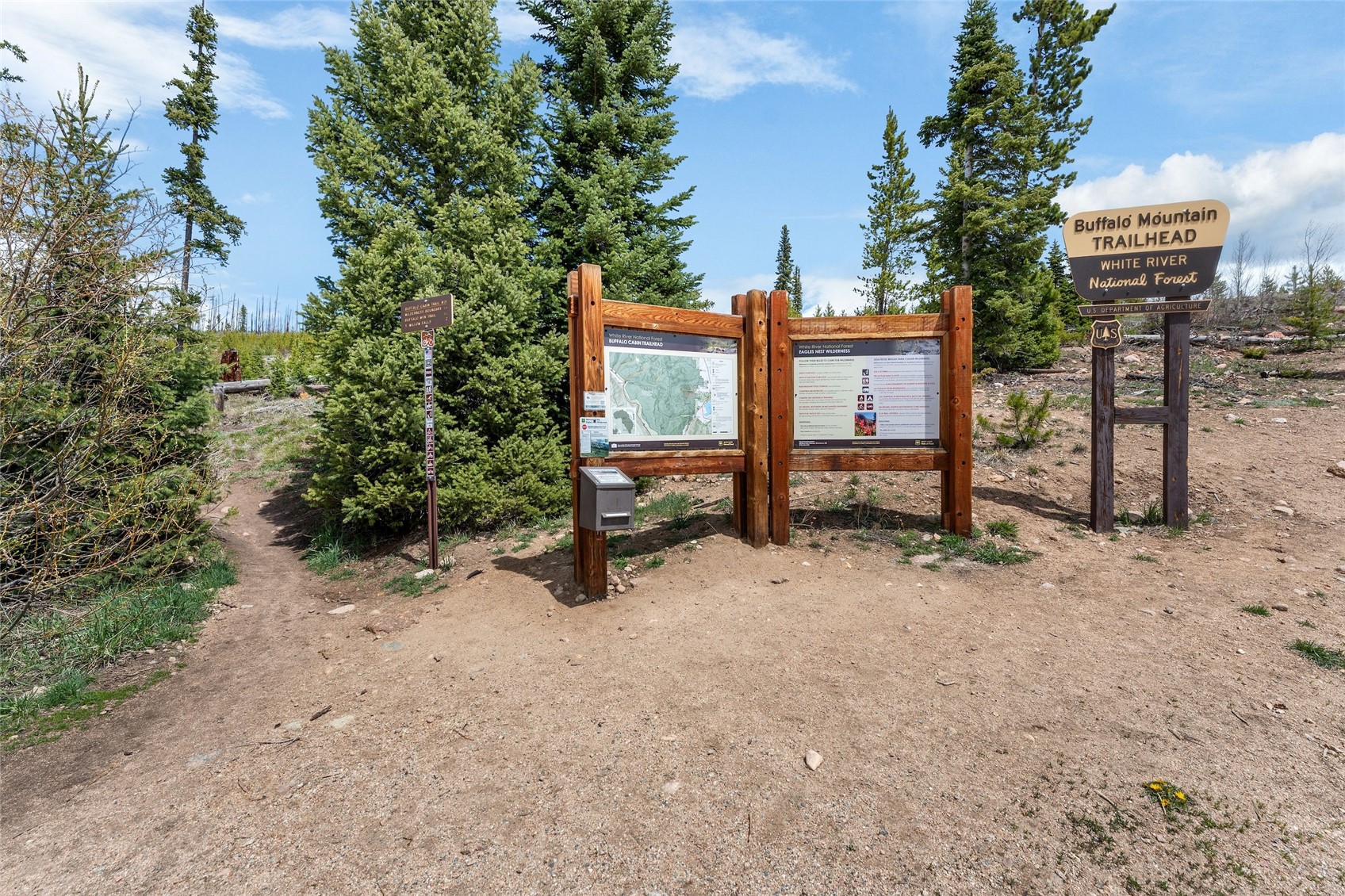 9800 Ryan Gulch Road, Unit 201 Silverthorne, CO 80498 - Photo 29 of 33