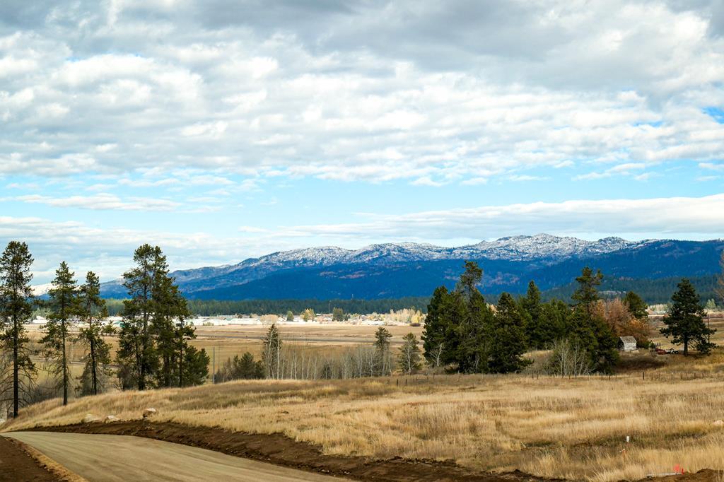 Lot 2 Wood Run Trail, Unit 2 McCall, ID 83638 - Photo 2 of 9