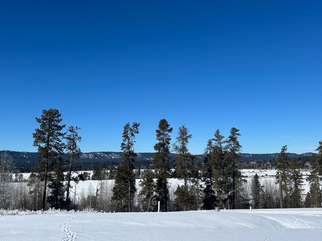 Lot 2 Wood Run Trail, Unit 2 McCall, ID 83638 - Photo 3 of 9