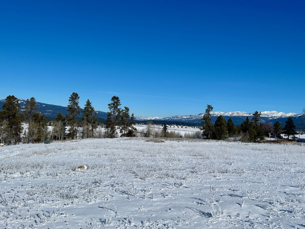 Lot 2 Wood Run Trail, Unit 2 McCall, ID 83638 - Photo 5 of 9