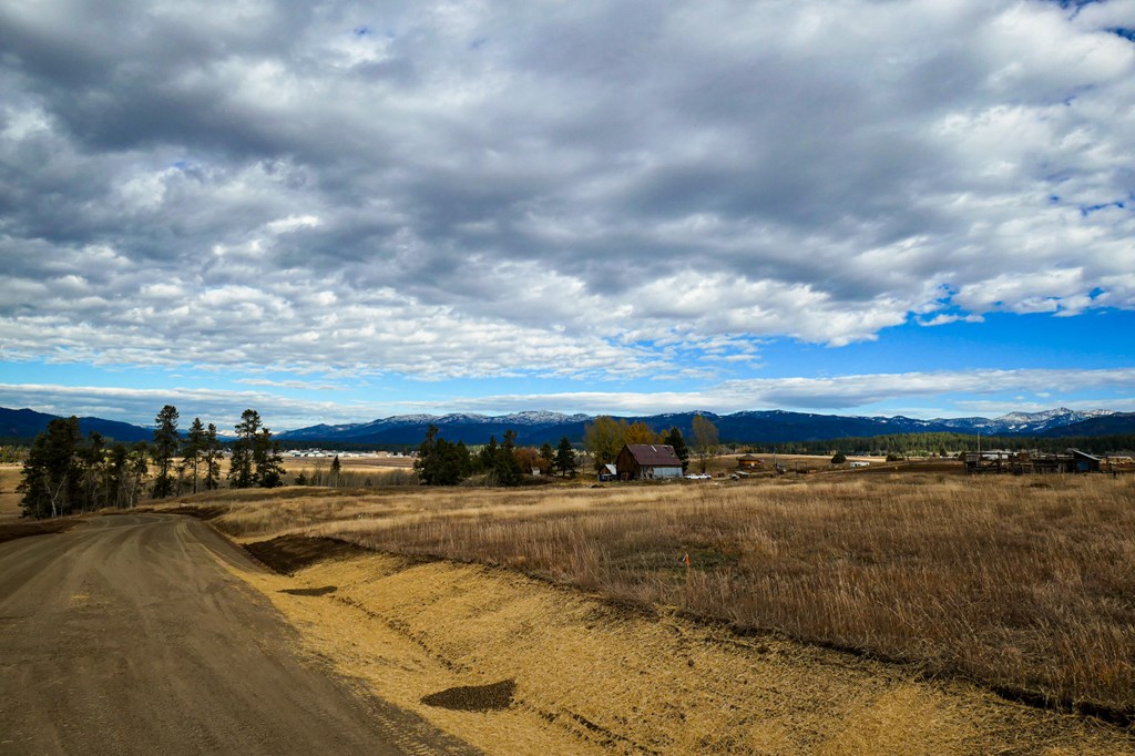 Lot 2 Wood Run Trail, Unit 2 McCall, ID 83638 - Photo 6 of 9