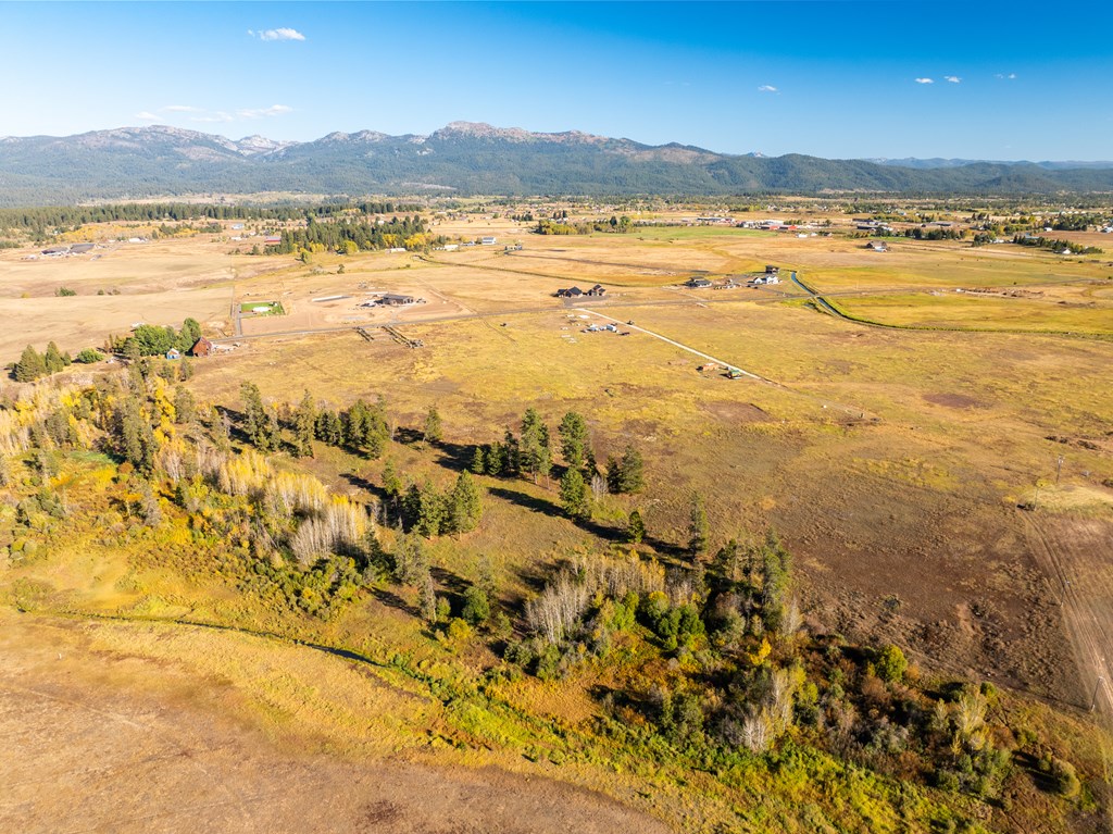 Lot 2 Wood Run Trail, Unit 2 McCall, ID 83638 - Photo 7 of 9