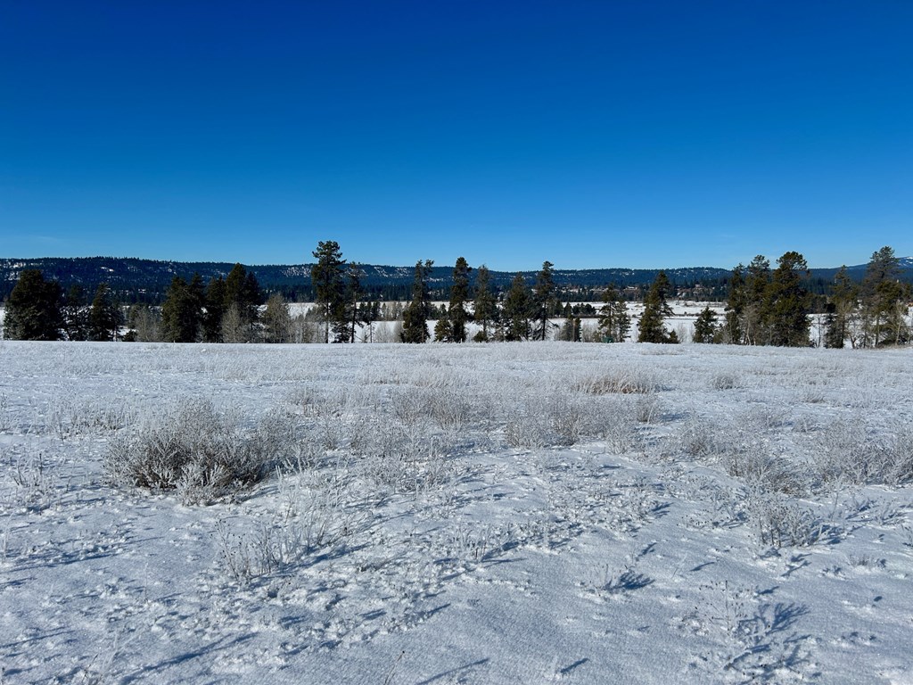 Lot 2 Wood Run Trail, Unit 2 McCall, ID 83638 - Photo 8 of 9