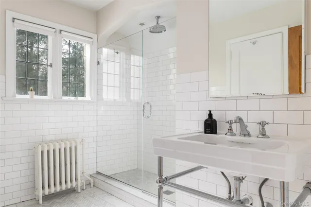a bathroom with a sink and a shower