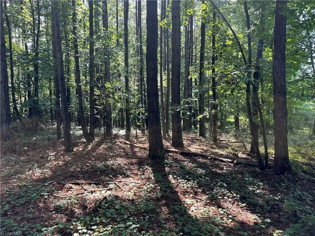 $229,000 | 0 Cool Springs Church Road, Elkin, NC 28621