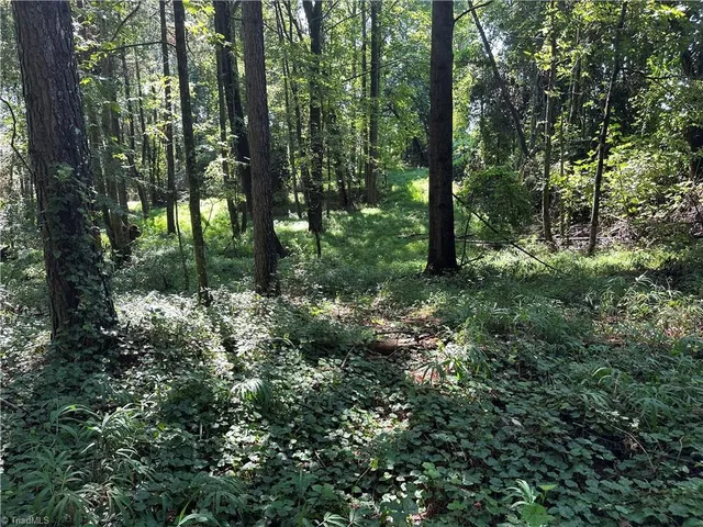 $229,000 | 0 Cool Springs Church Road, Elkin, NC 28621