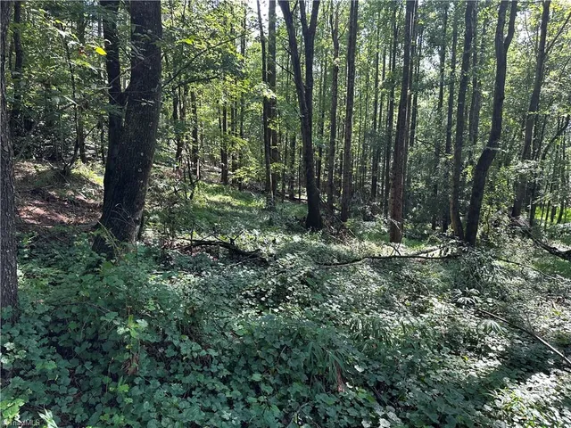 $229,000 | 0 Cool Springs Church Road, Elkin, NC 28621