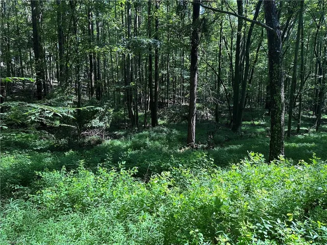 $229,000 | 0 Cool Springs Church Road, Elkin, NC 28621