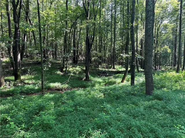 $229,000 | 0 Cool Springs Church Road, Elkin, NC 28621