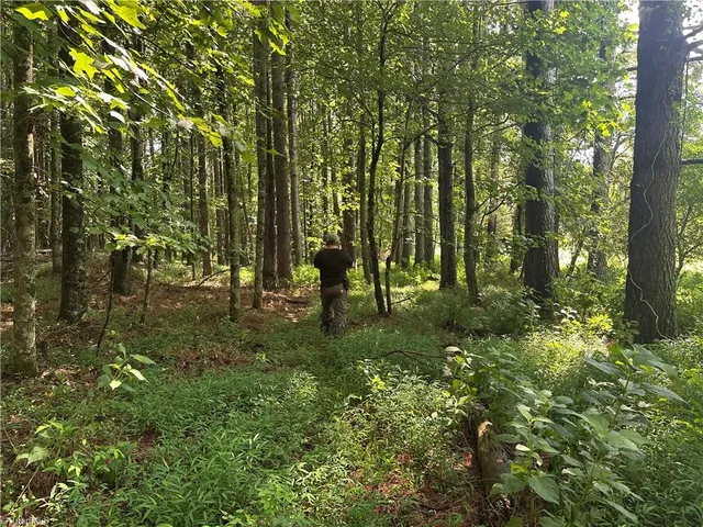 $229,000 | 0 Cool Springs Church Road, Elkin, NC 28621