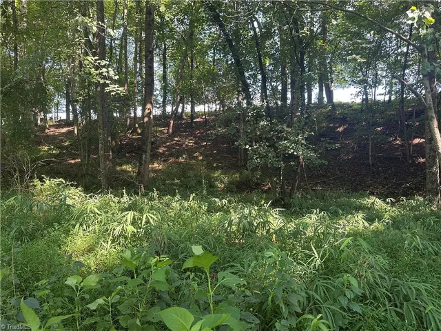 $229,000 | 0 Cool Springs Church Road, Elkin, NC 28621