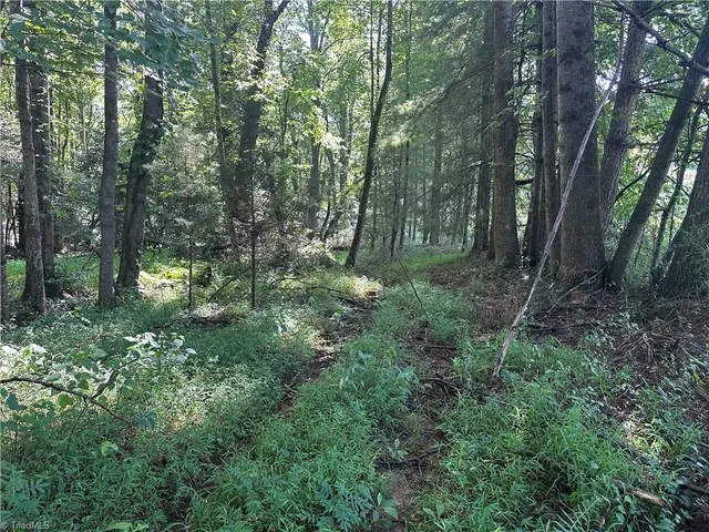 $229,000 | 0 Cool Springs Church Road, Elkin, NC 28621