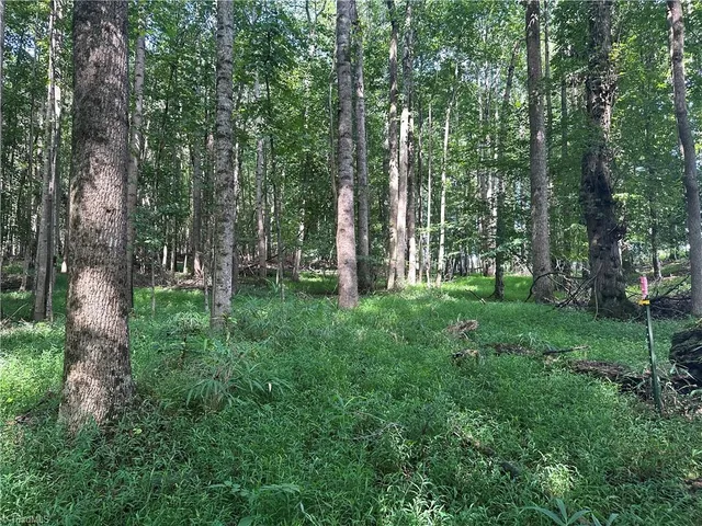 $229,000 | 0 Cool Springs Church Road, Elkin, NC 28621