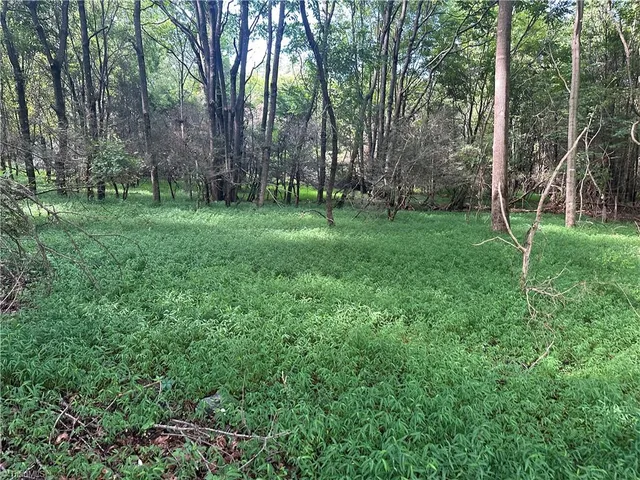 $229,000 | 0 Cool Springs Church Road, Elkin, NC 28621