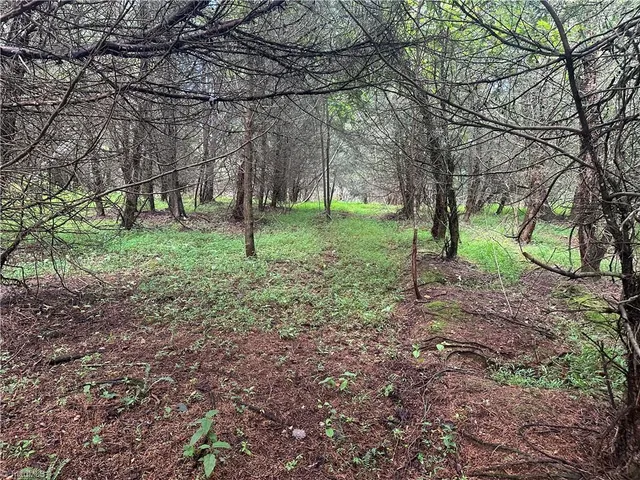 $229,000 | 0 Cool Springs Church Road, Elkin, NC 28621