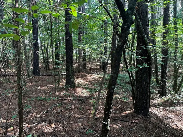 $229,000 | 0 Cool Springs Church Road, Elkin, NC 28621