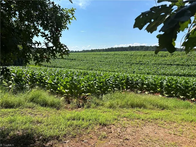 $229,000 | 0 Cool Springs Church Road, Elkin, NC 28621