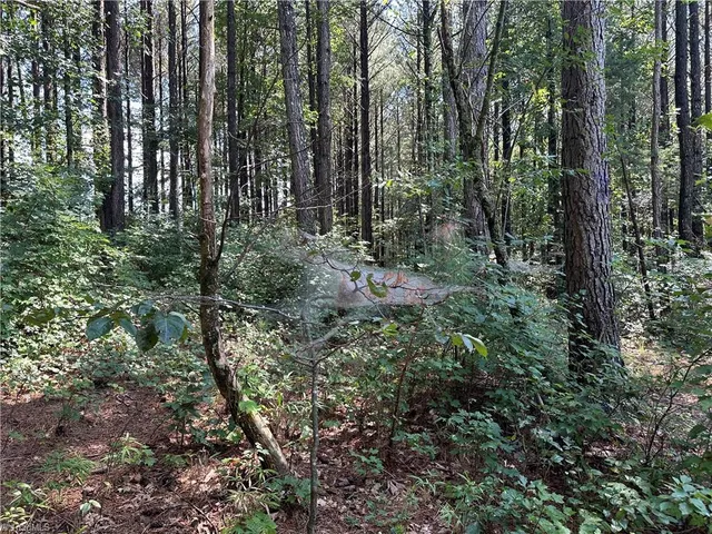 $229,000 | 0 Cool Springs Church Road, Elkin, NC 28621