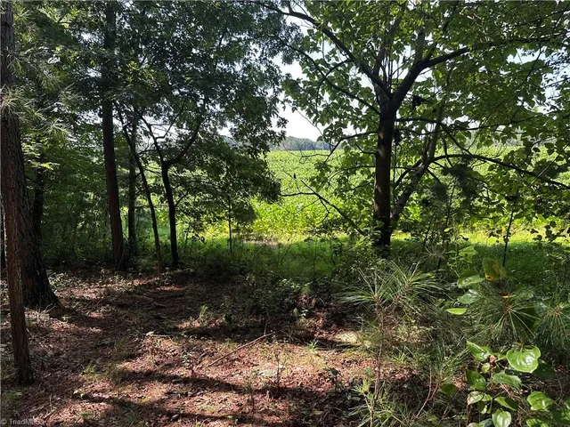 $229,000 | 0 Cool Springs Church Road, Elkin, NC 28621