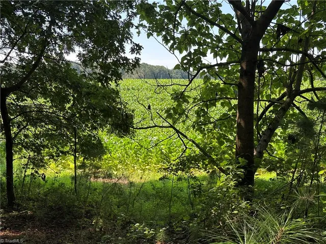 $229,000 | 0 Cool Springs Church Road, Elkin, NC 28621