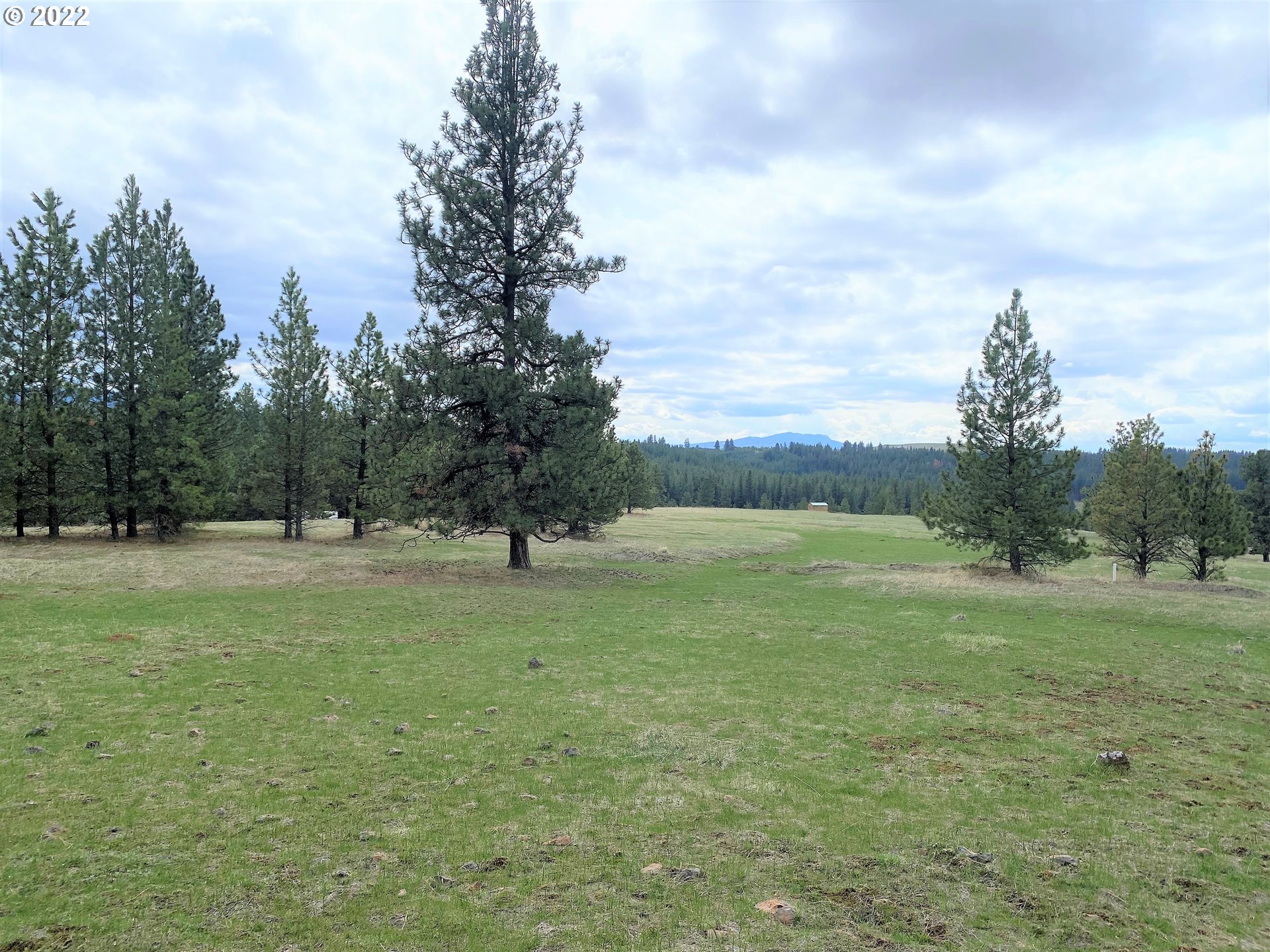 72559 Yarrington Road Elgin, OR 97827 - Photo 6 of 30 Gallery Image 6