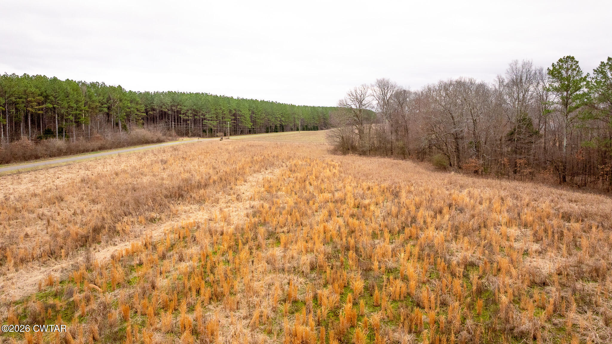 0 Mann Road Hollow Rock, TN 38342 - Photo 4 of 10 a view of a dry yard with mountains in the background
