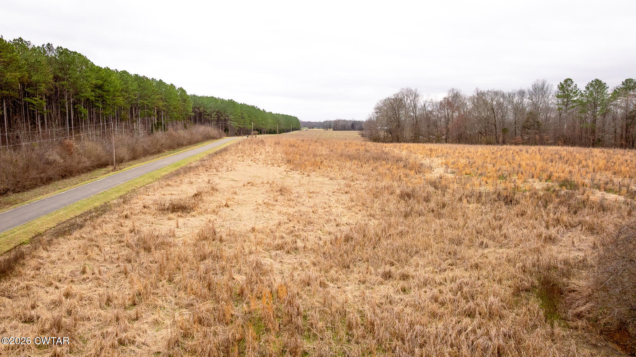 0 Mann Road Hollow Rock, TN 38342 - Photo 5 of 10 a view of river and yard