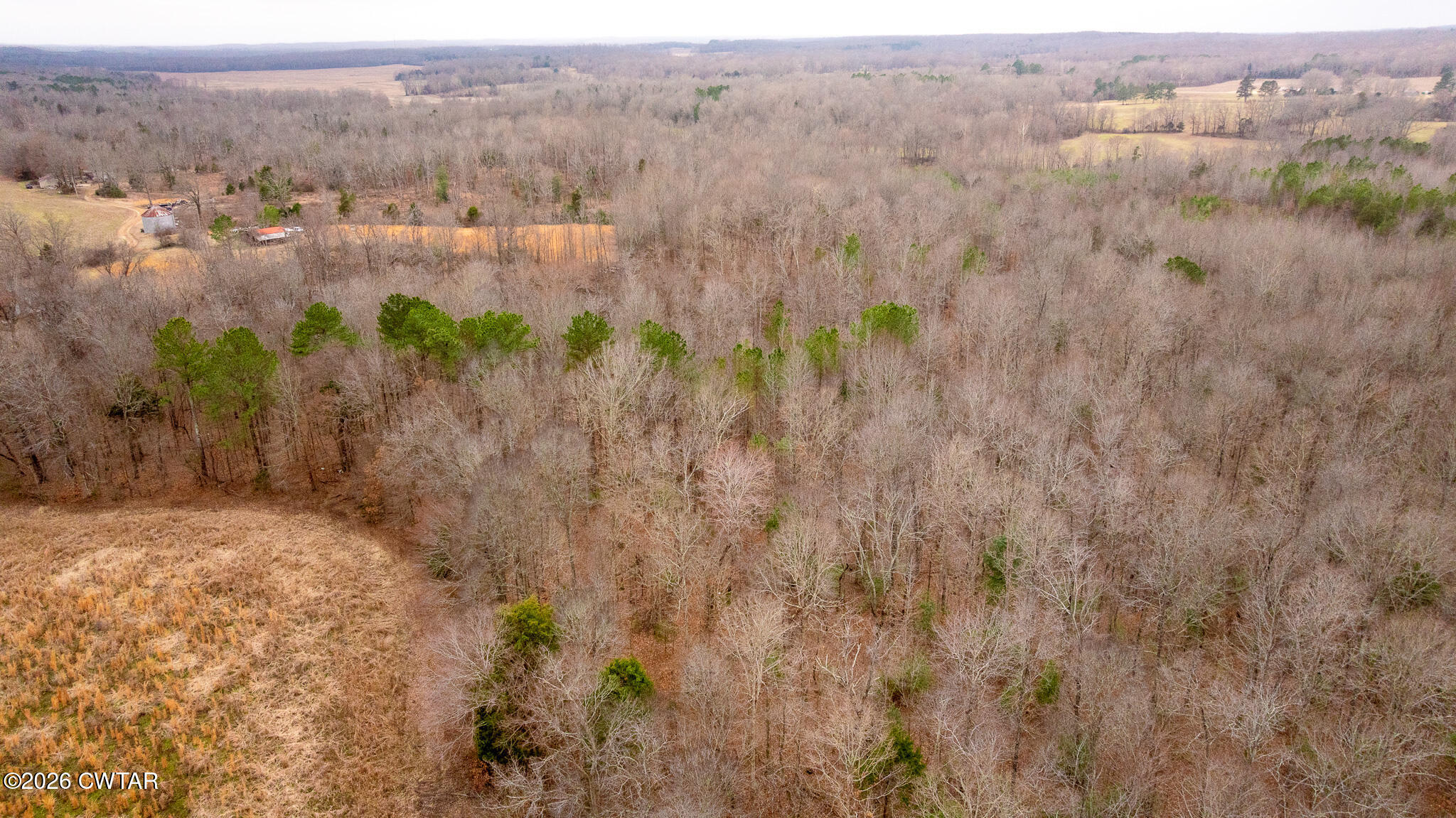 0 Mann Road Hollow Rock, TN 38342 - Photo 6 of 10