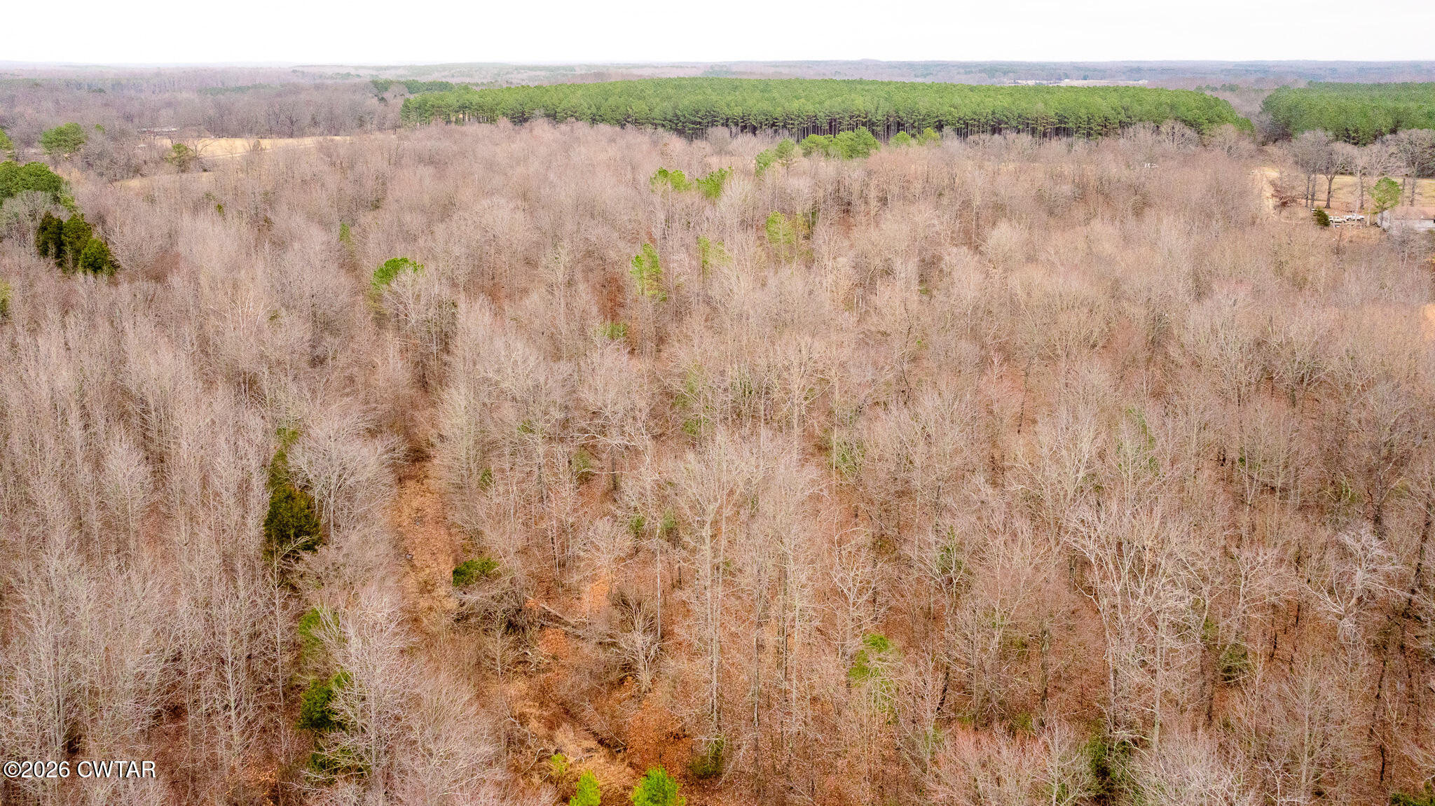 0 Mann Road Hollow Rock, TN 38342 - Photo 10 of 10 a view of lake with green space