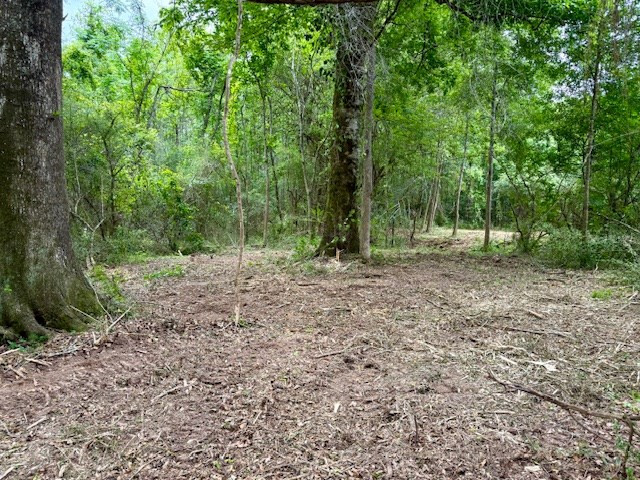 0 Mt Herman Road Osyka, MS 39657 - Photo 4 of 55 Photo 4