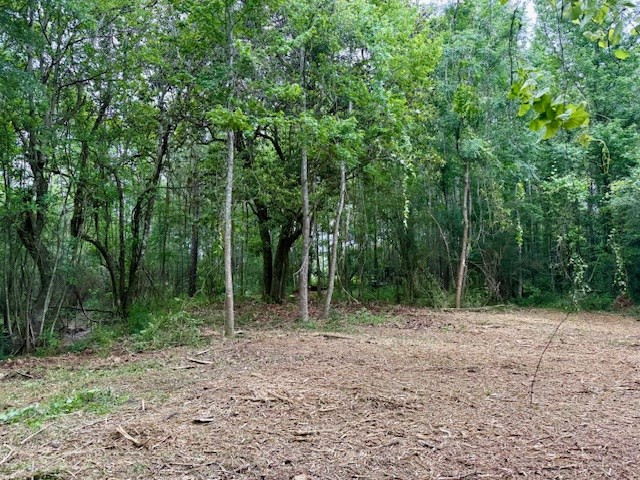 0 Mt Herman Road Osyka, MS 39657 - Photo 45 of 55 Photo 45