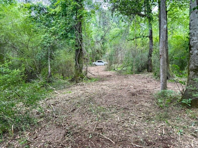 0 Mt Herman Road Osyka, MS 39657 - Photo 47 of 55 Photo 47