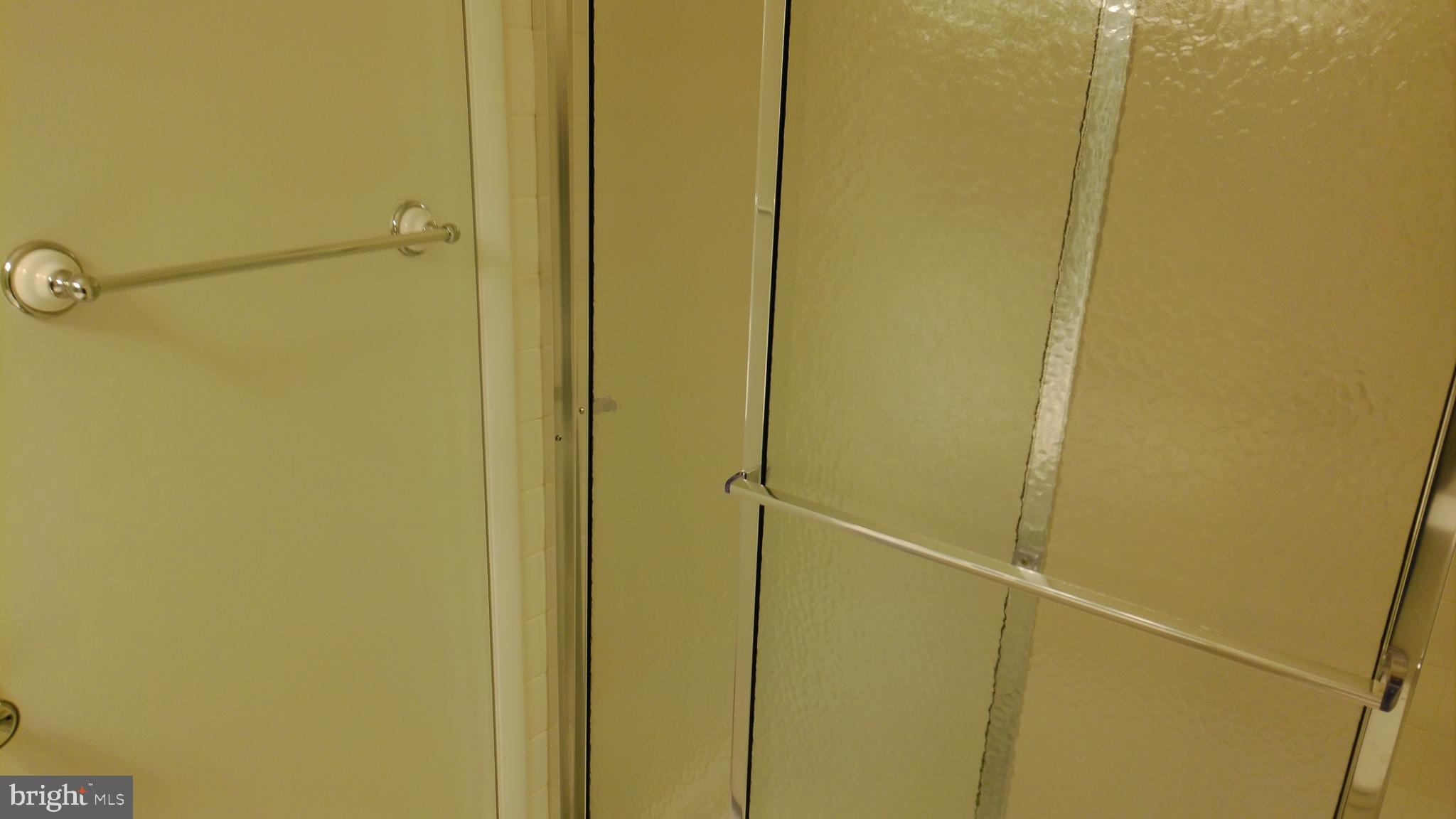 15311 Pine Orchard Drive, Unit 871H Silver Spring, MD 20906 - Photo 15 of 21 Shower - Master Bath