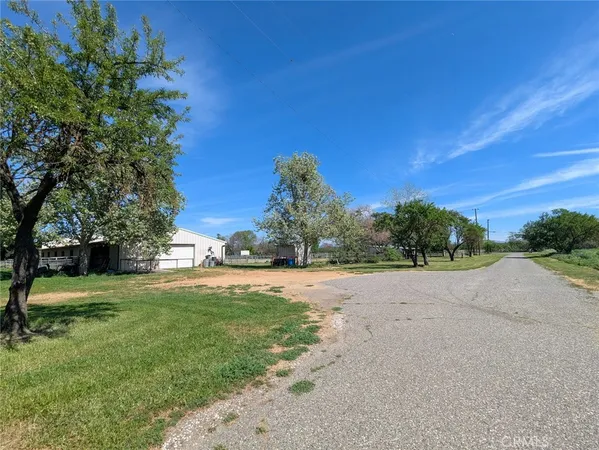 a big yard with large trees