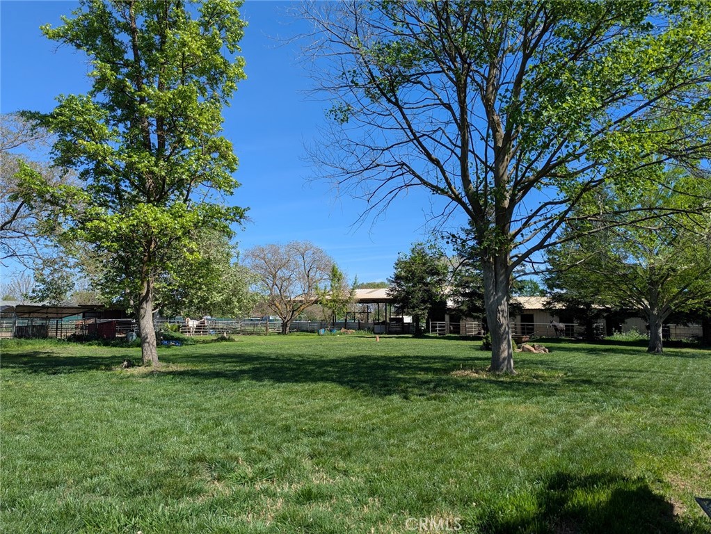 2304 Hutton Way Durham, CA 95938 - Photo 38 of 43 a view of a park with tree s