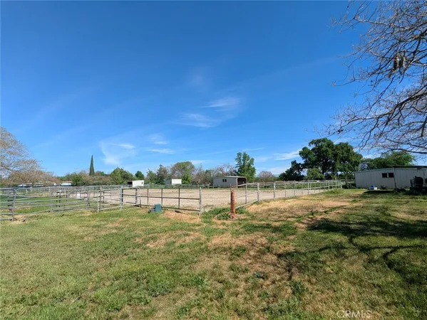 a view of a backyard with large trees