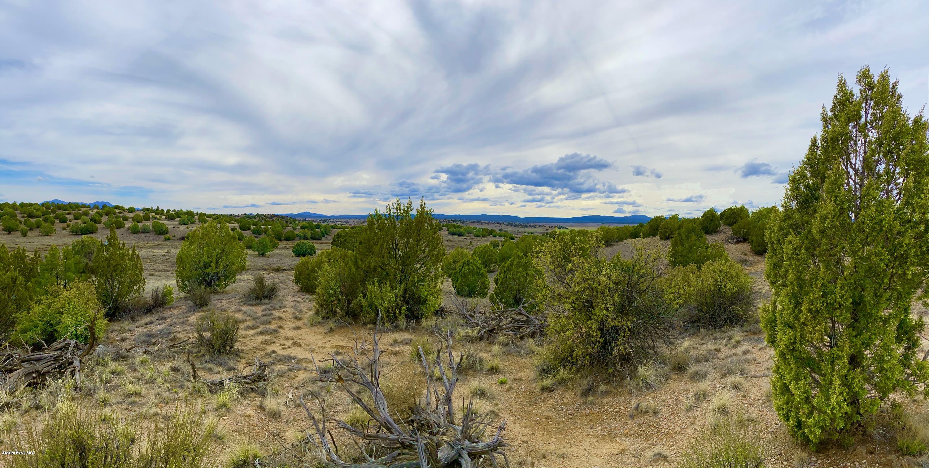 8600 Dillon Wash Road Prescott, AZ 86305 - Photo 18 of 32 Flat and Level