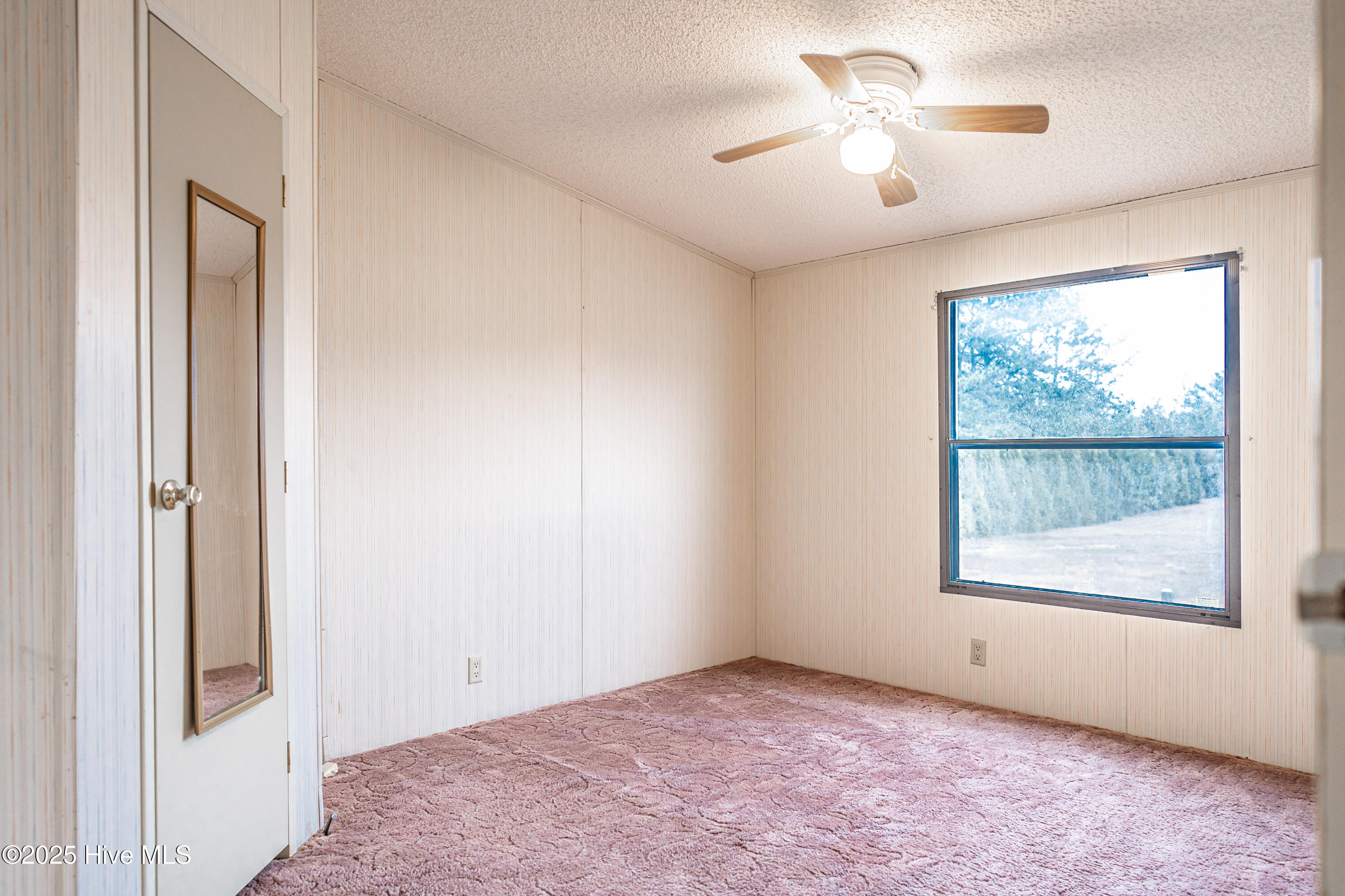 2050 Carthage Road West End, NC 27376 - Photo 36 of 52 DSC02901