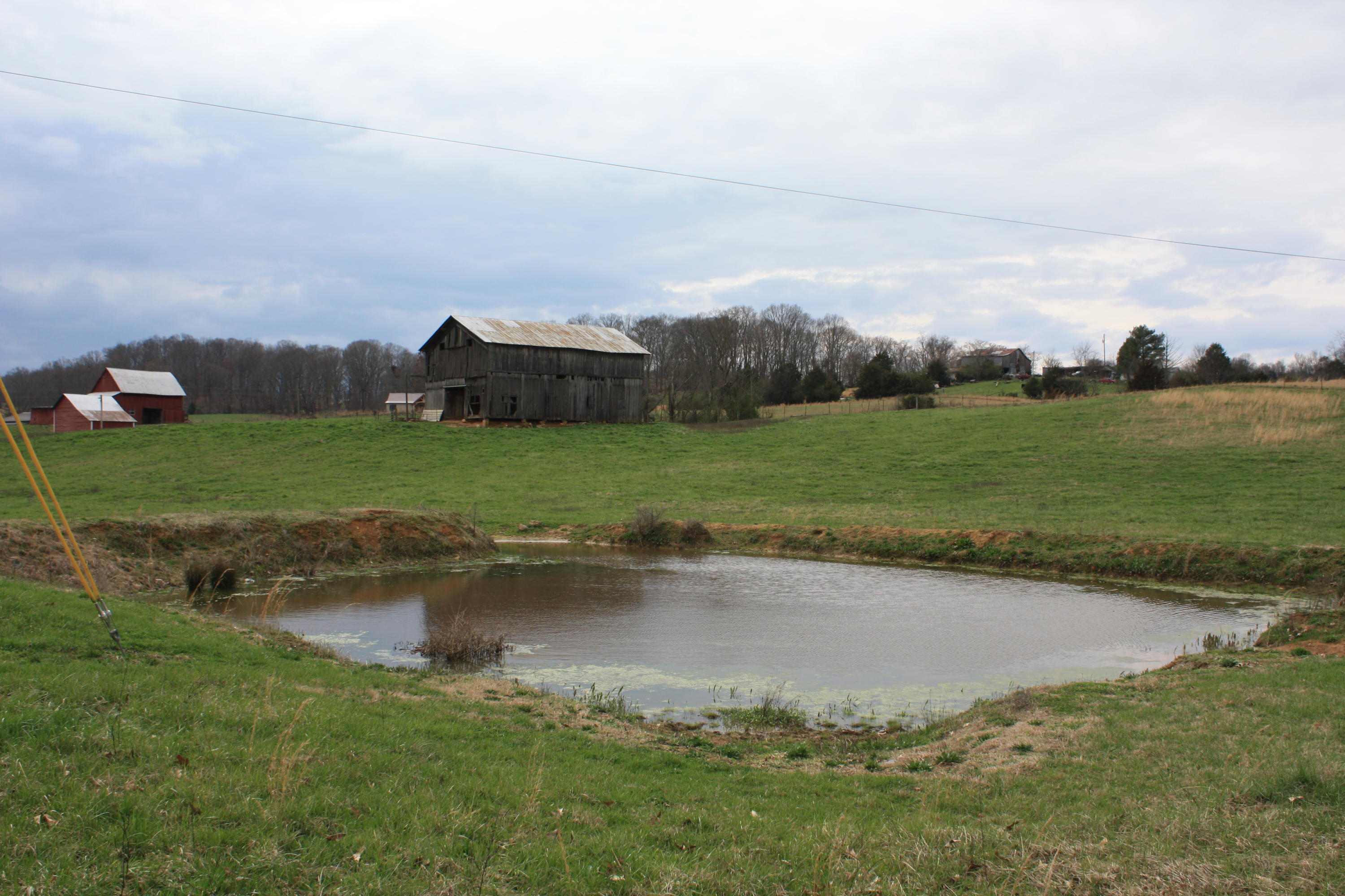 2705 Old Snapps Ferry Road Chuckey, TN 37641 - Photo 15 of 16 IMG_0047