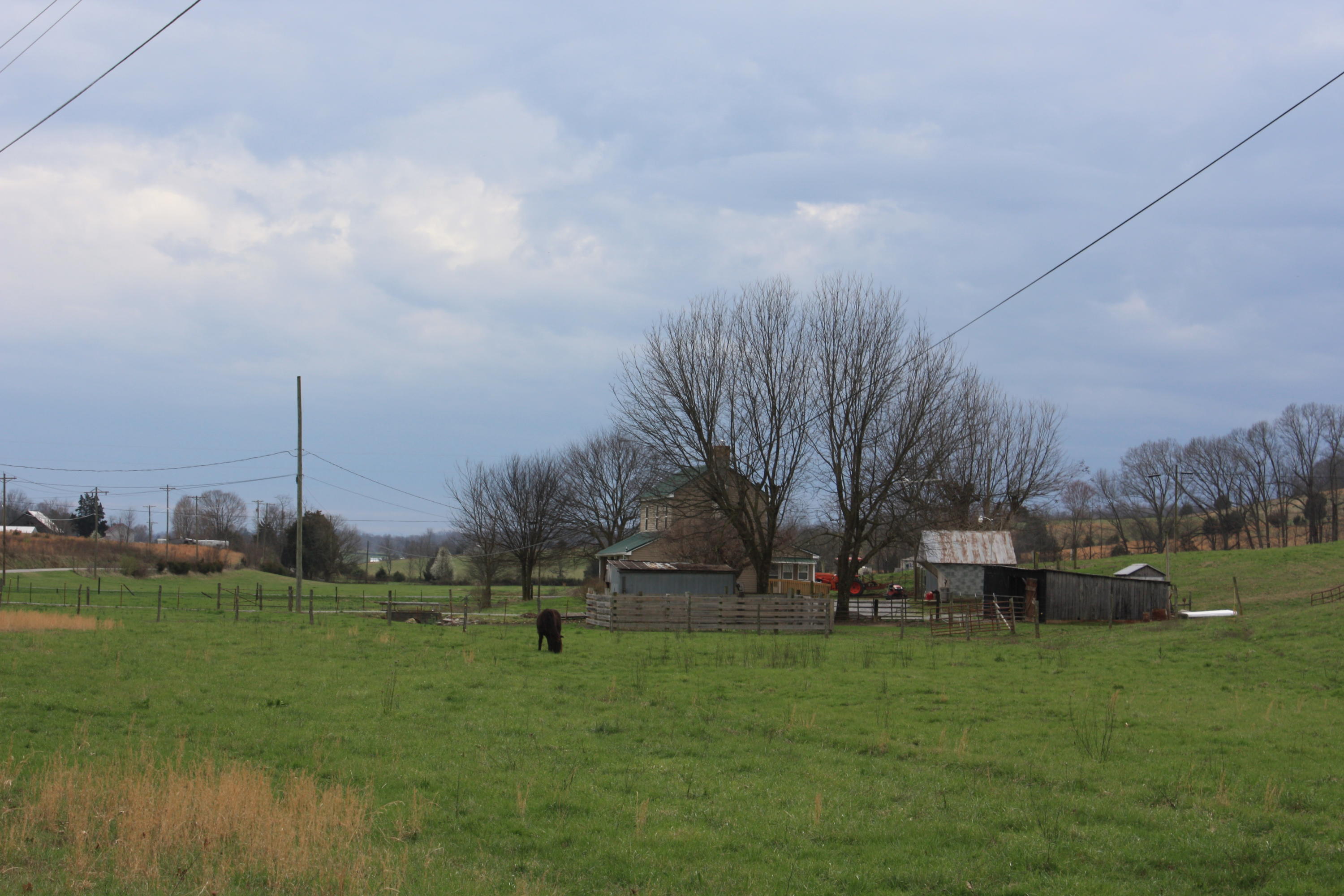 2705 Old Snapps Ferry Road Chuckey, TN 37641 - Photo 16 of 16 IMG_0048