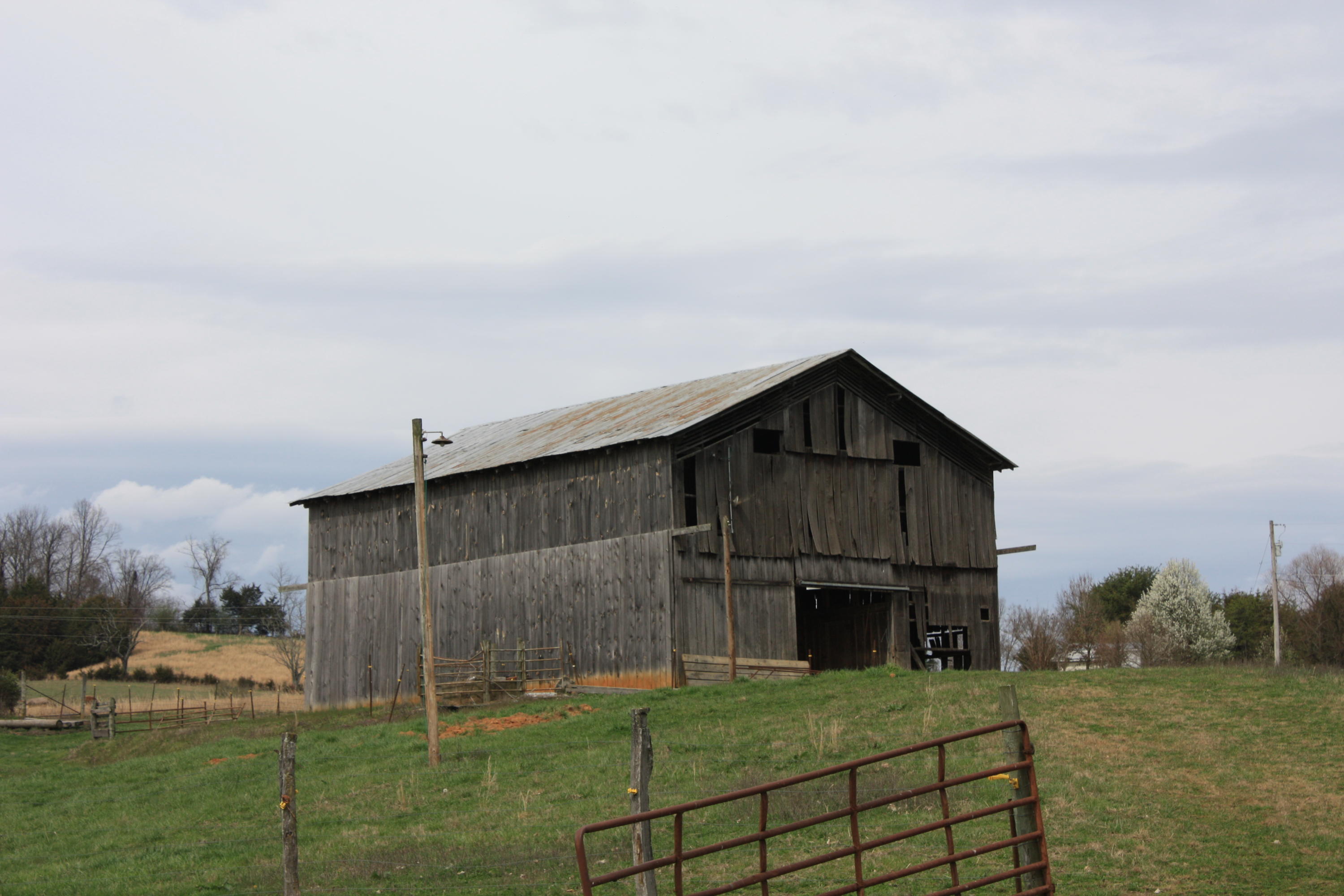 2705 Old Snapps Ferry Road Chuckey, TN 37641 - Photo 8 of 16 IMG_0019