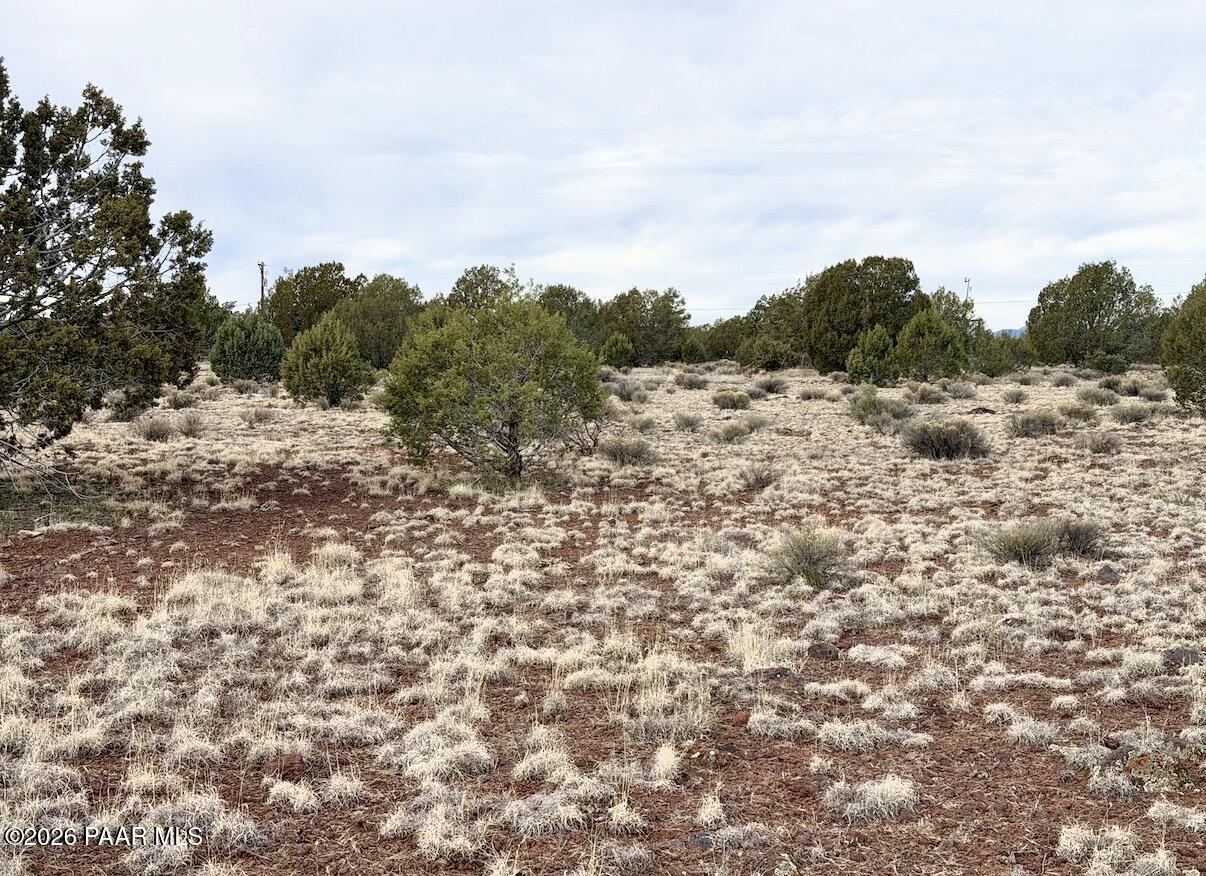 1224 West Ridgeview Drive Williams, AZ 86046 - Photo 4 of 8 IMG_1580