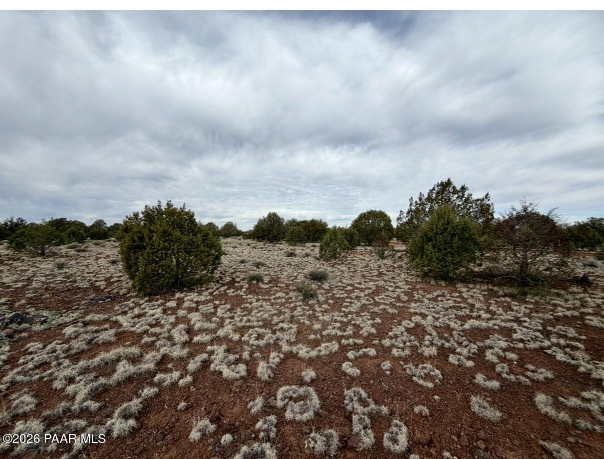 1224 West Ridgeview Drive Williams, AZ 86046 - Photo 6 of 8 IMG_1578