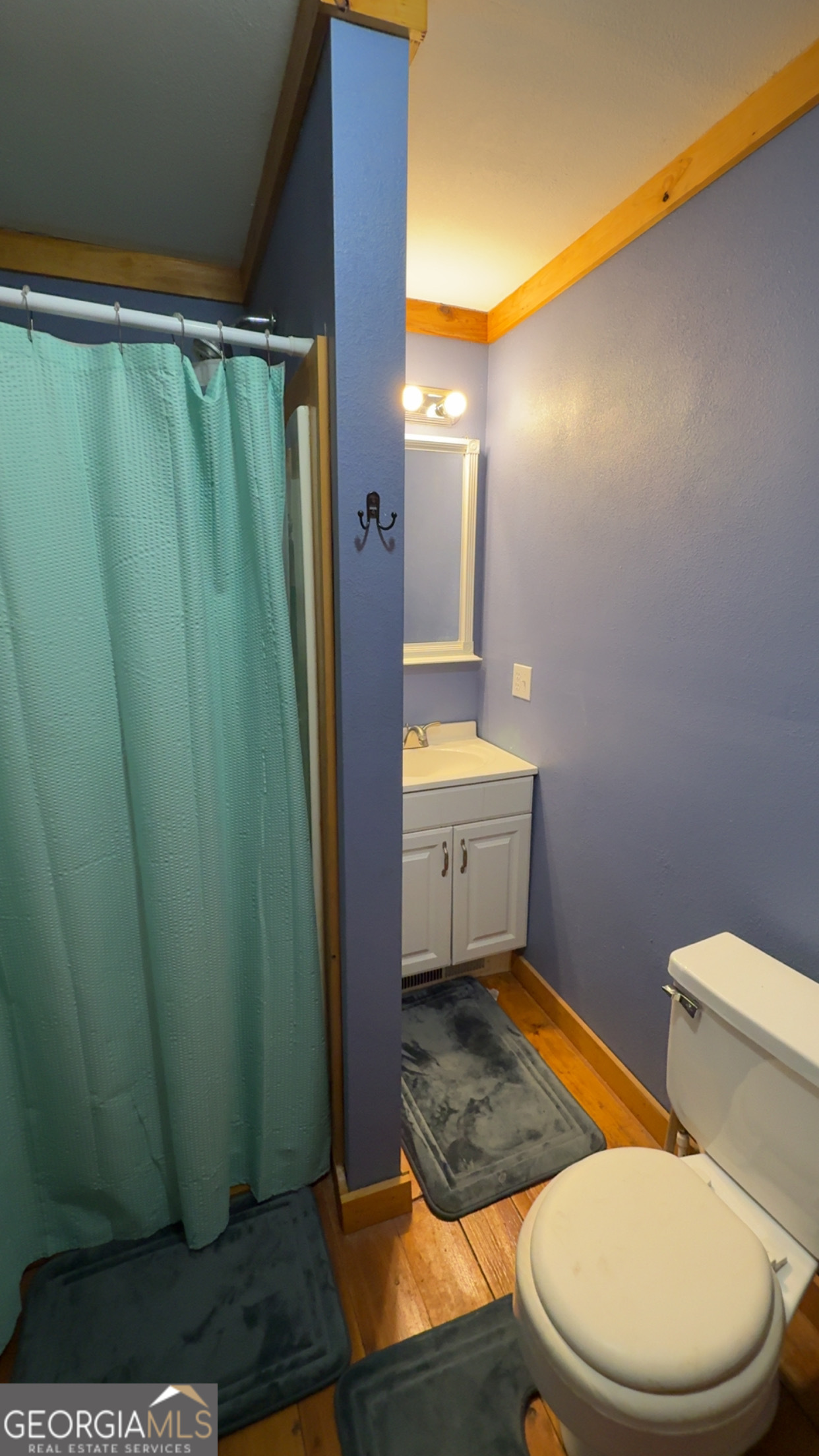 132 Mason Bridge Road Wrightsville, GA 31096 - Photo 8 of 12