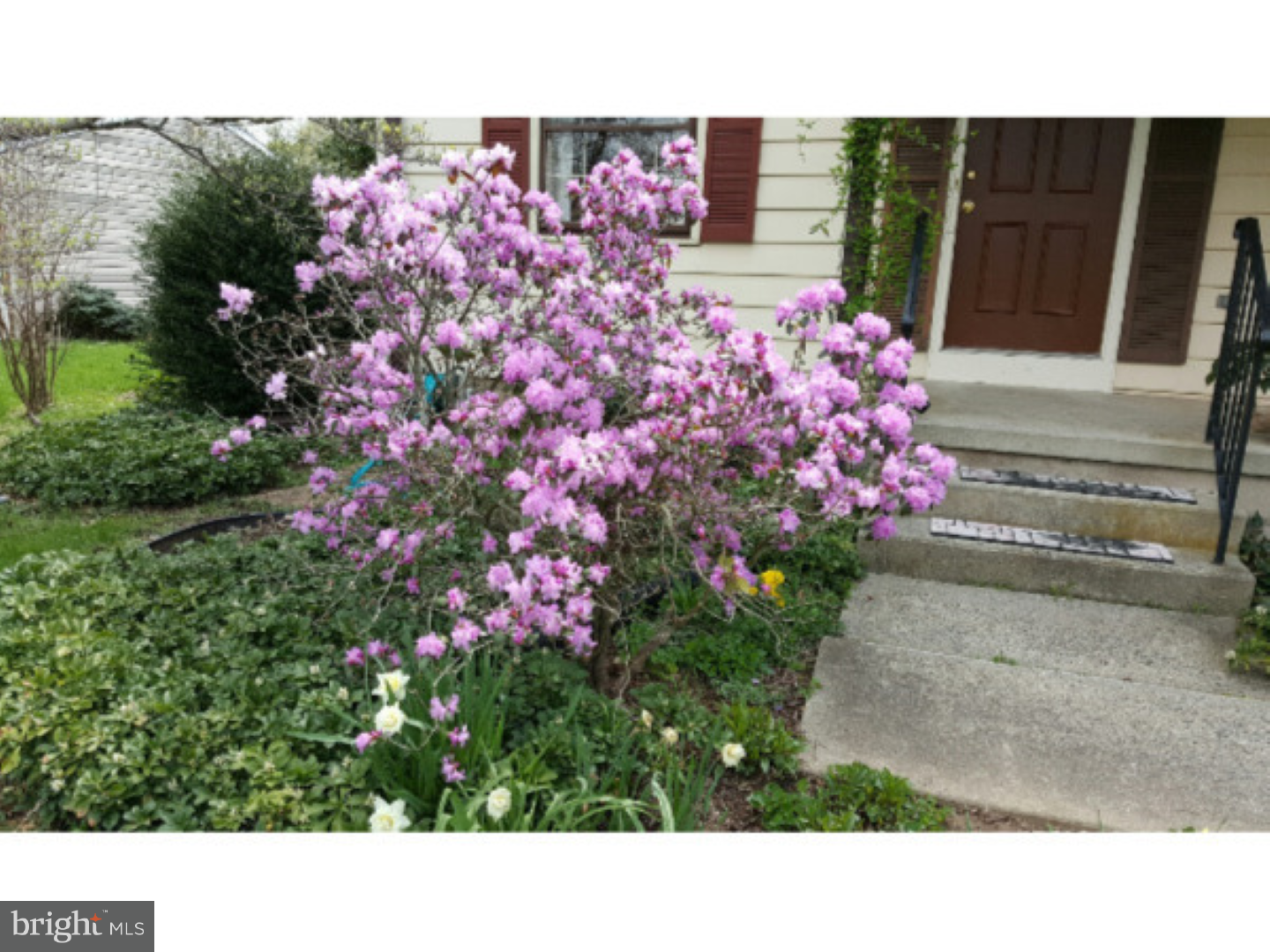 8 Federal City Road Ewing, NJ 08638 - Photo 2 of 25 Front Yard